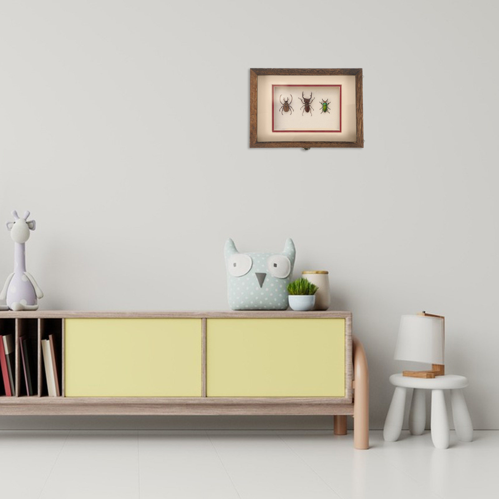 Frame Display Wood - ชุดกล่องโชว์แมลงไม้สไตล์เรโทรพร้อมแผงอะคริลิกใสสำหรับใส่ตัวอย่างผีเสื้อ ต้นไม้ ดอกไม้แห้ง และเครื่องประดับ