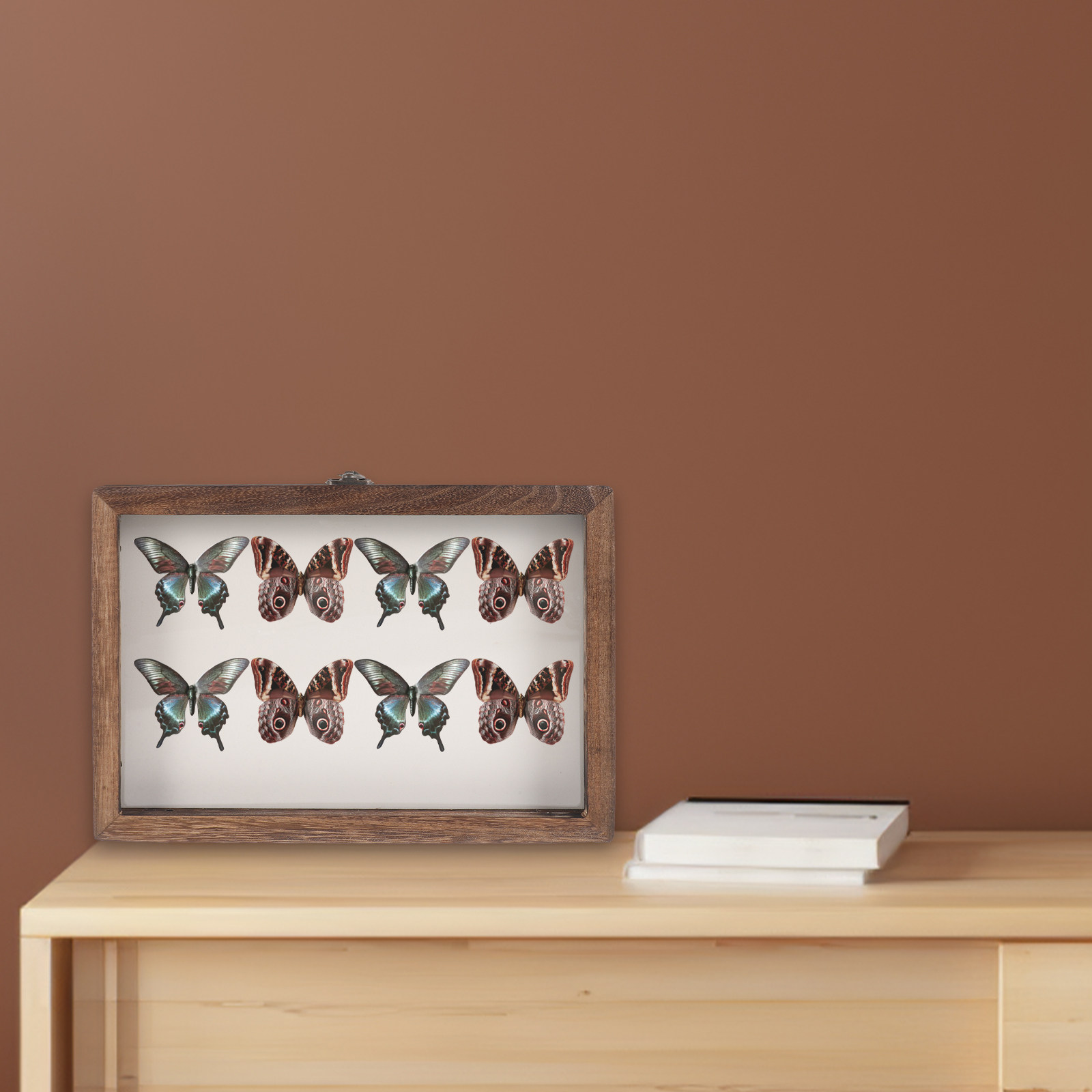 ชุดกล่องโชว์แมลงไม้สไตล์เรโทรพ - Frame Display Wood บทวิจารณ์และราคา